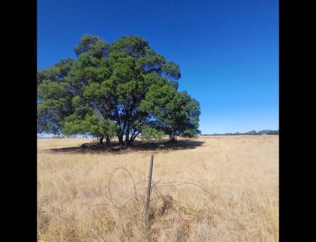 8.50HA VACANT LAND FOR SALE IN WITKOP